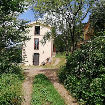 Stellaria Casa Vacanze In Montagna Panorama Stupendo Sardegna Seùlo Zewnętrze zdjęcie