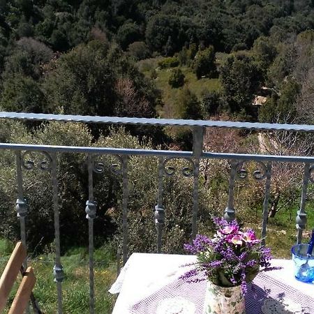 Stellaria Casa Vacanze In Montagna Panorama Stupendo Sardegna Seùlo Zewnętrze zdjęcie