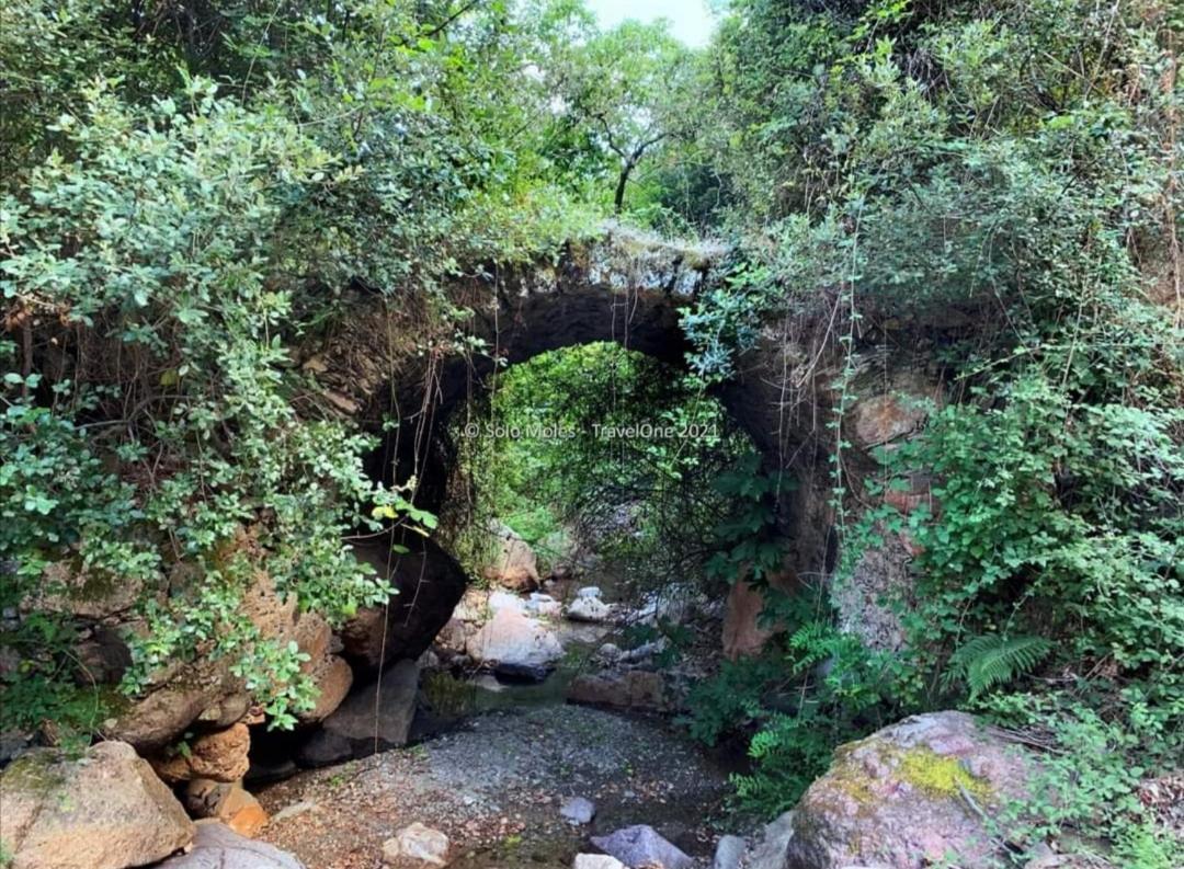 Stellaria Casa Vacanze In Montagna Panorama Stupendo Sardegna Seùlo Zewnętrze zdjęcie