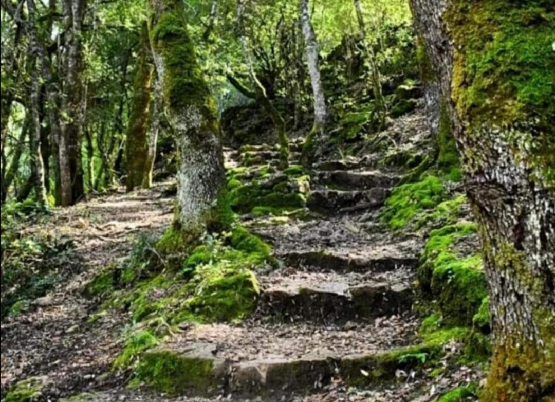 Stellaria Casa Vacanze In Montagna Panorama Stupendo Sardegna Seùlo Zewnętrze zdjęcie