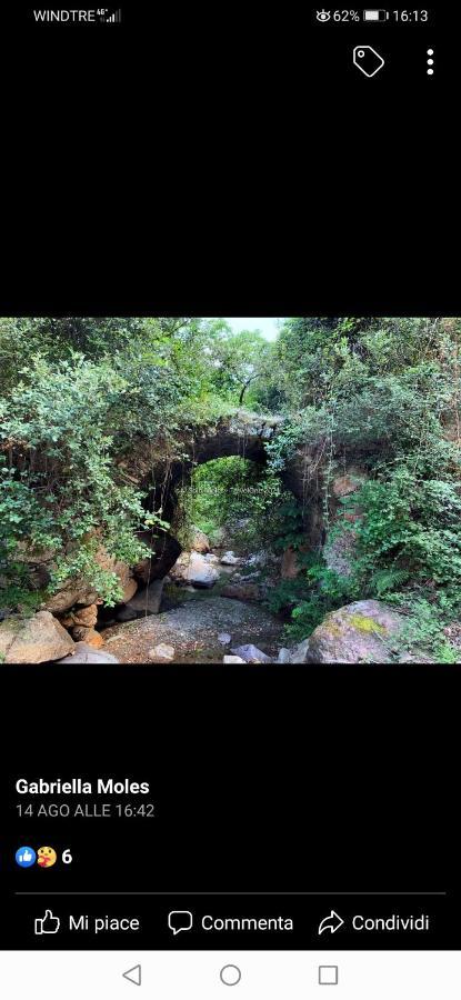 Stellaria Casa Vacanze In Montagna Panorama Stupendo Sardegna Seùlo Zewnętrze zdjęcie