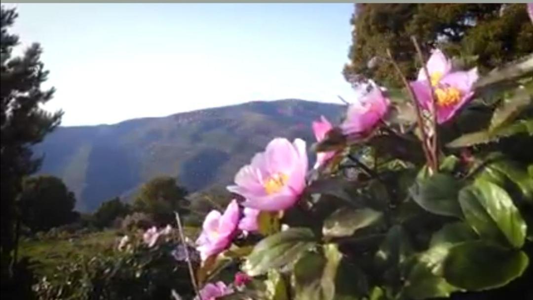 Stellaria Casa Vacanze In Montagna Panorama Stupendo Sardegna Seùlo Zewnętrze zdjęcie
