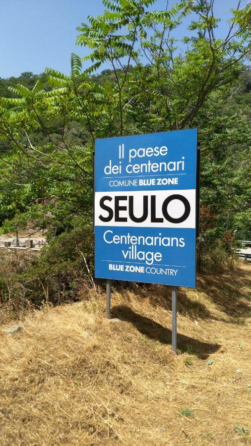 Stellaria Casa Vacanze In Montagna Panorama Stupendo Sardegna Seùlo Zewnętrze zdjęcie