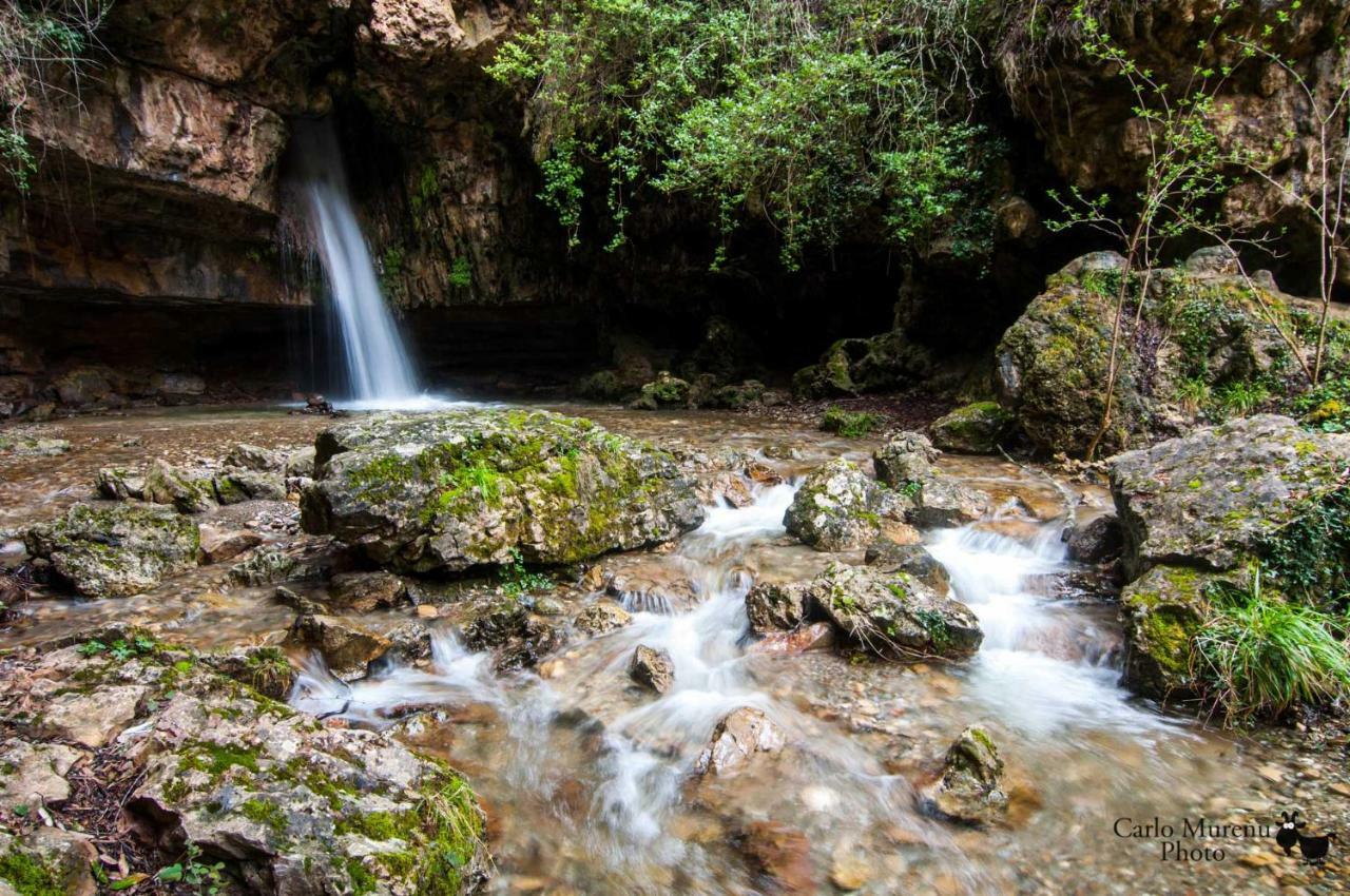 Stellaria Casa Vacanze In Montagna Panorama Stupendo Sardegna Seùlo Zewnętrze zdjęcie