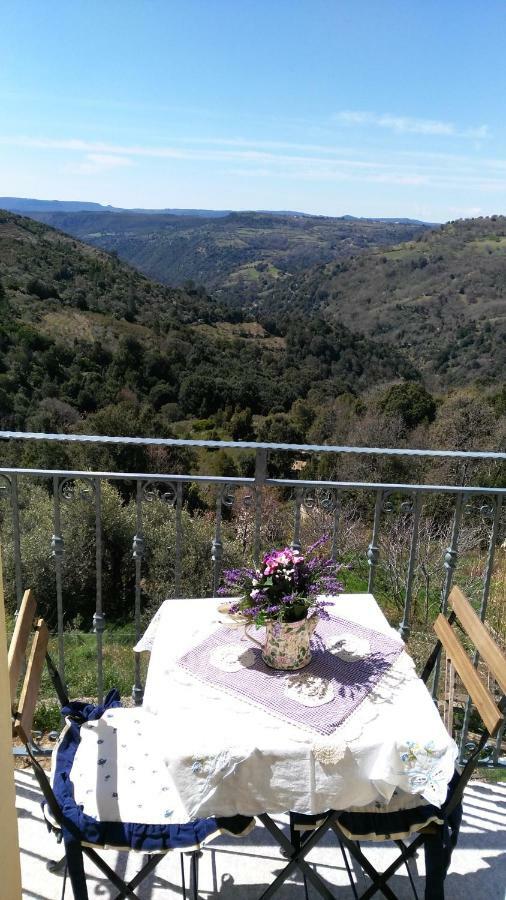 Stellaria Casa Vacanze In Montagna Panorama Stupendo Sardegna Seùlo Zewnętrze zdjęcie